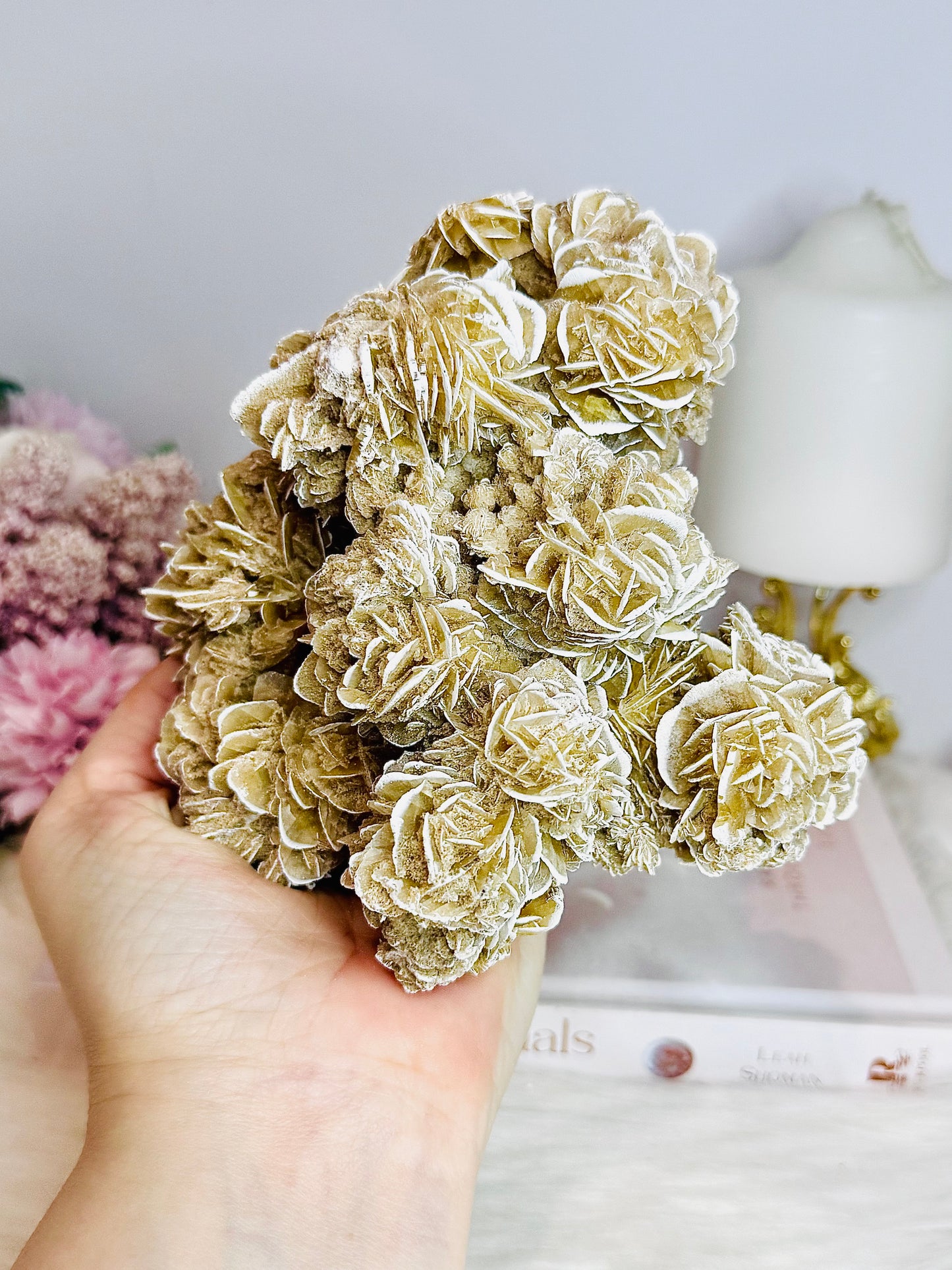 Natural Large Desert Rose Selenite Specimen 747g