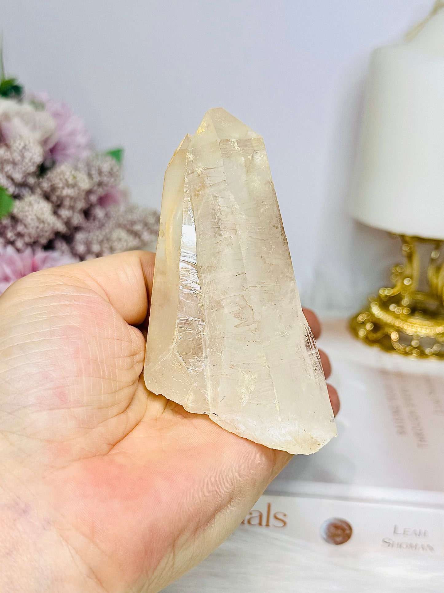 Clear Quartz Natural Point | Freeform 9cm 170g