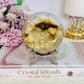 Large 389gram Druzy Flower Agate Sphere On Stand