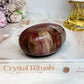 Large Chunky Petrified Wood Freeform 404g
