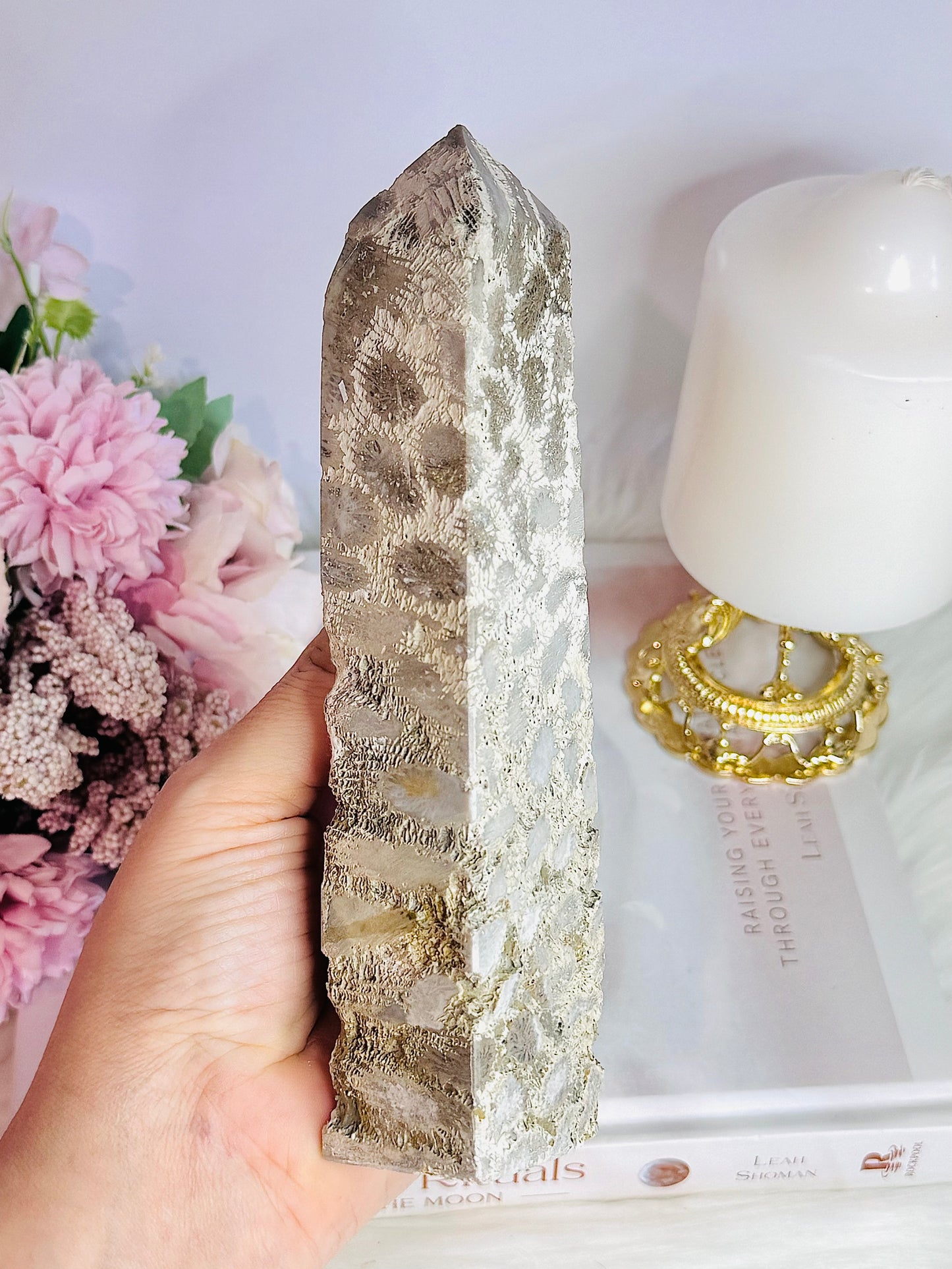 Natural Large Fossil Coral Tower 17.5cm