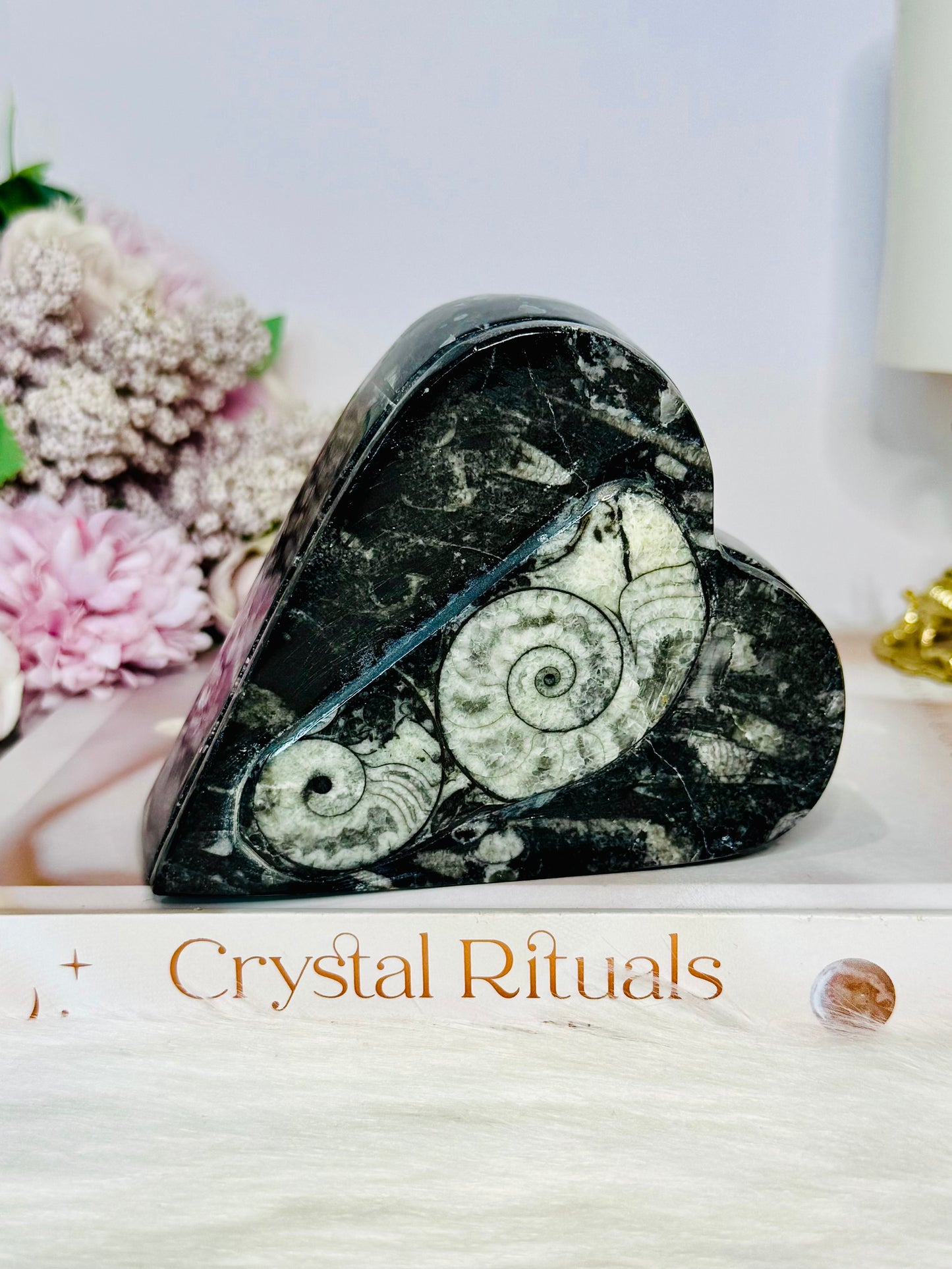 Ancient Fossil Orthoceras Heart Ammonite Jewellery Box 10cm 401g