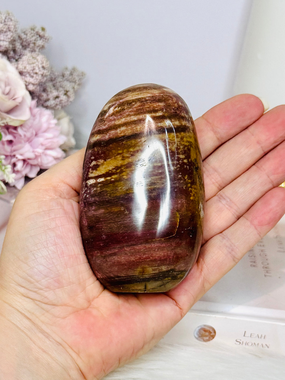 Petrified Wood Freeform 9cm 304g