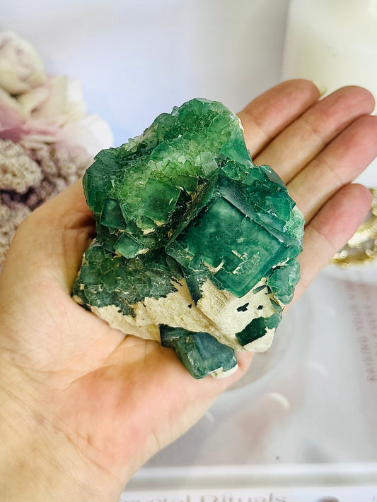 Gorgeous Green Cubed Fluorite Natural Specimen on Matrix 486grams