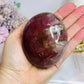 Large Chunky Petrified Wood Freeform 404g