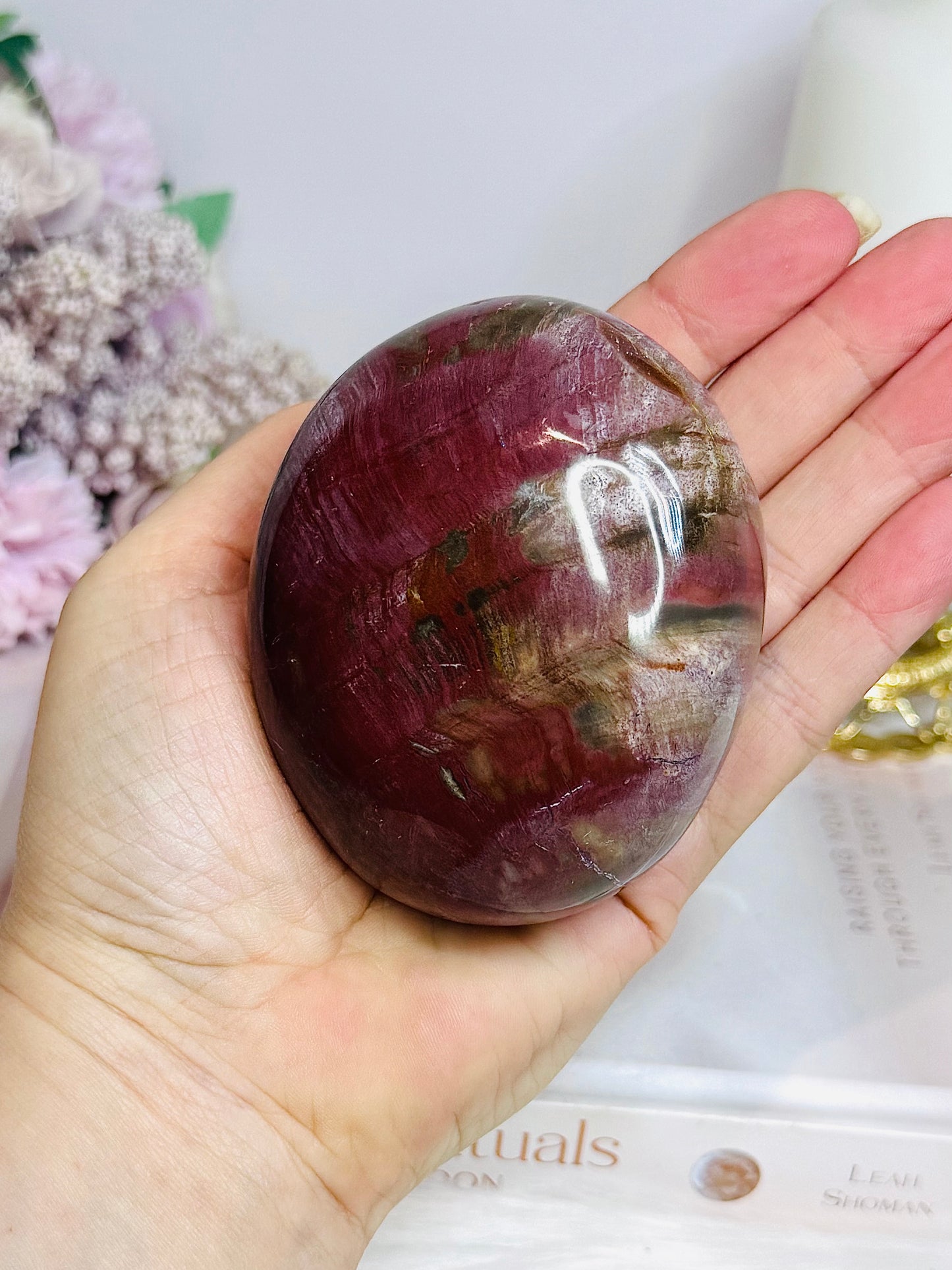 Large Chunky Petrified Wood Freeform 404g