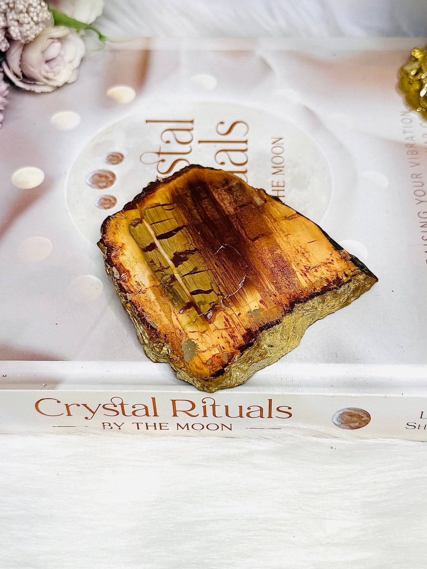 Natural Petrified Wood Slab 7.5cm 145g