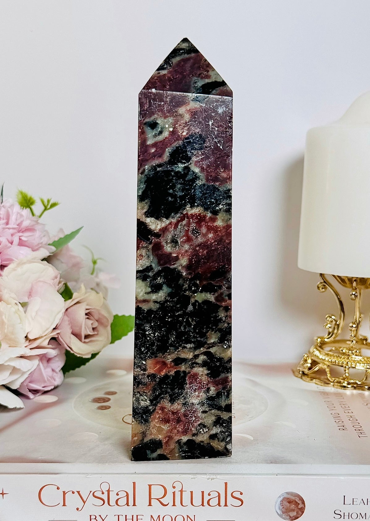 Gorgeous Large 17cm Garnet in Tourmaline Tower | Generator