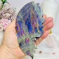 Large Labradorite Butterfly Wings With Purple Flash 21cm Tall