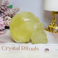 Citrine with Rainbows Carved Skull 397g 8cm