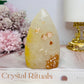 Flower Agate Flame | Freeform 10cm 246g