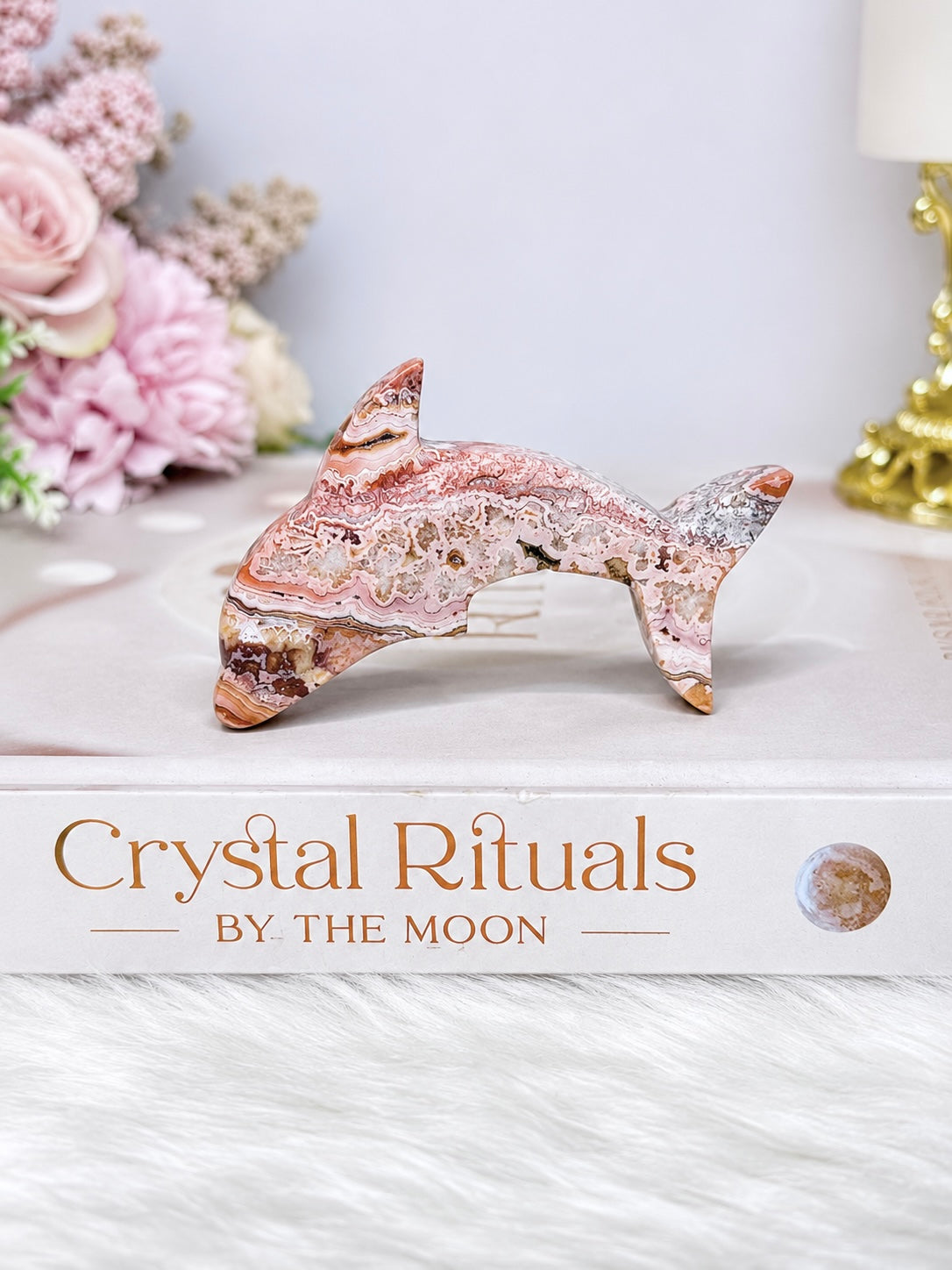 Crazy Lace Agate Carved Dolphin 7cm
