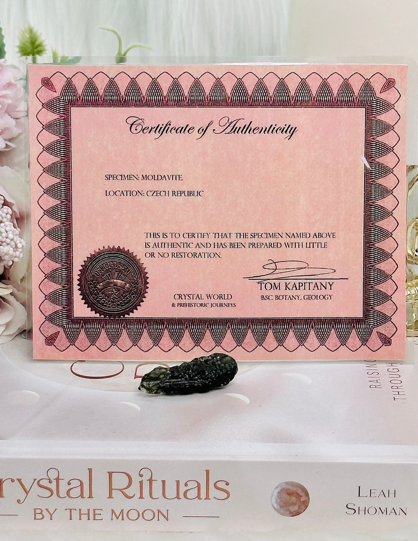 A Precious Rare Tektite ~ Incredible 4.2gram Natural Moldavite Tektite with Authenticity Certificate