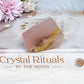 Natural Rose Quartz Freeform with Fern Tree Dentrictic Inclusions 5.5cm