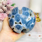 Natural Blue Coral Fossil 824g