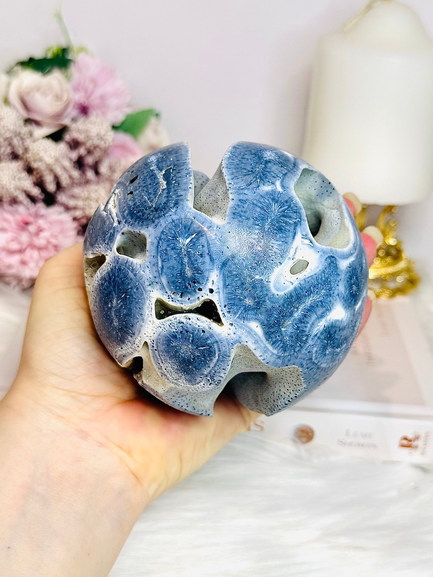 Natural Blue Coral Fossil 824g