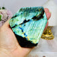 Large High Grade Labradorite Freeform 348g 10cm