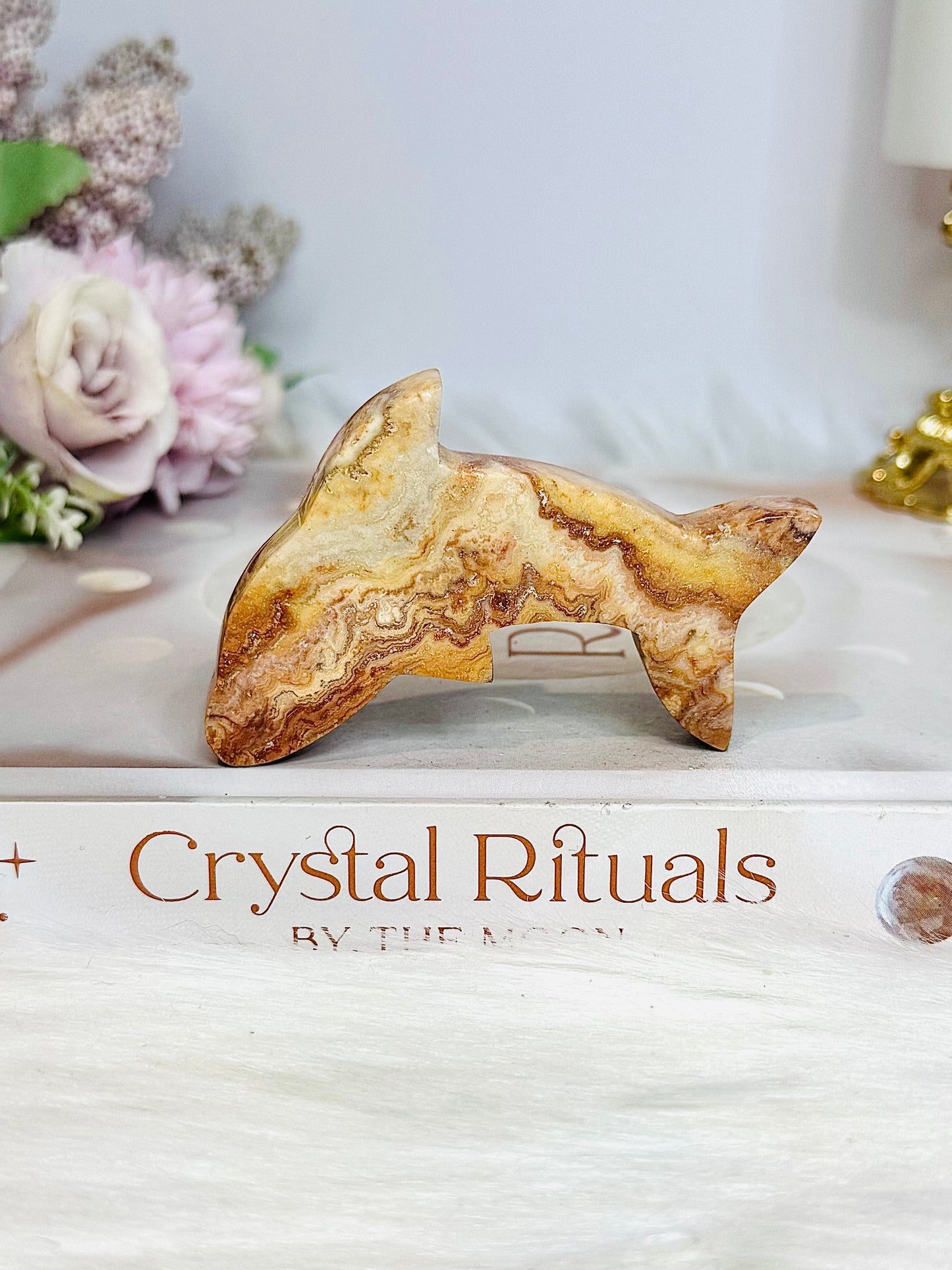Crazy Lace Agate Carved Dolphin 7cm