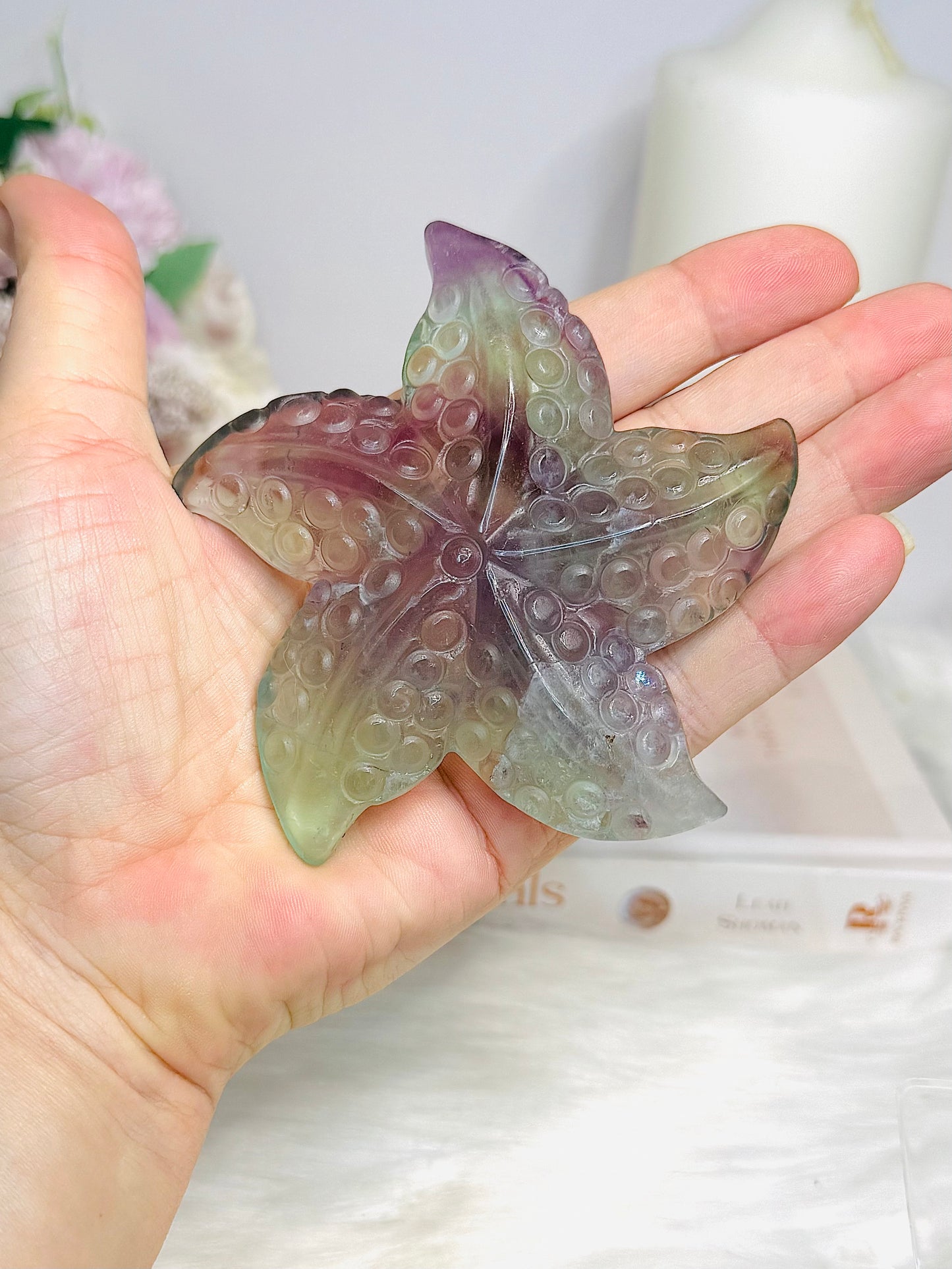 Fluorite Star Fish On Stand 9cm