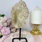 Large 19.5cm Natural Elestial | Alligator Quartz On Stand