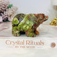 Money Agate Carved Bear 8cm