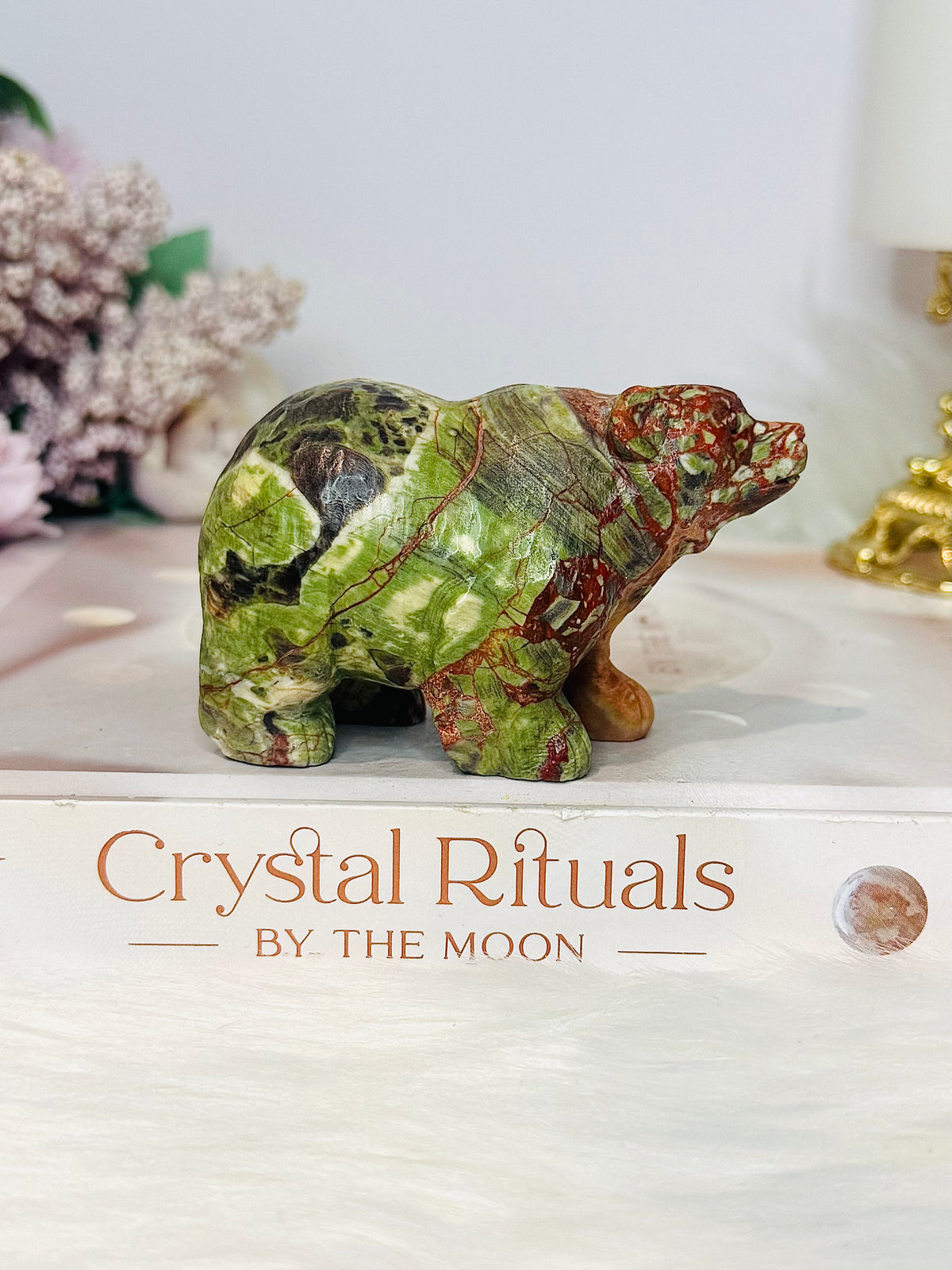 Money Agate Carved Bear 8cm