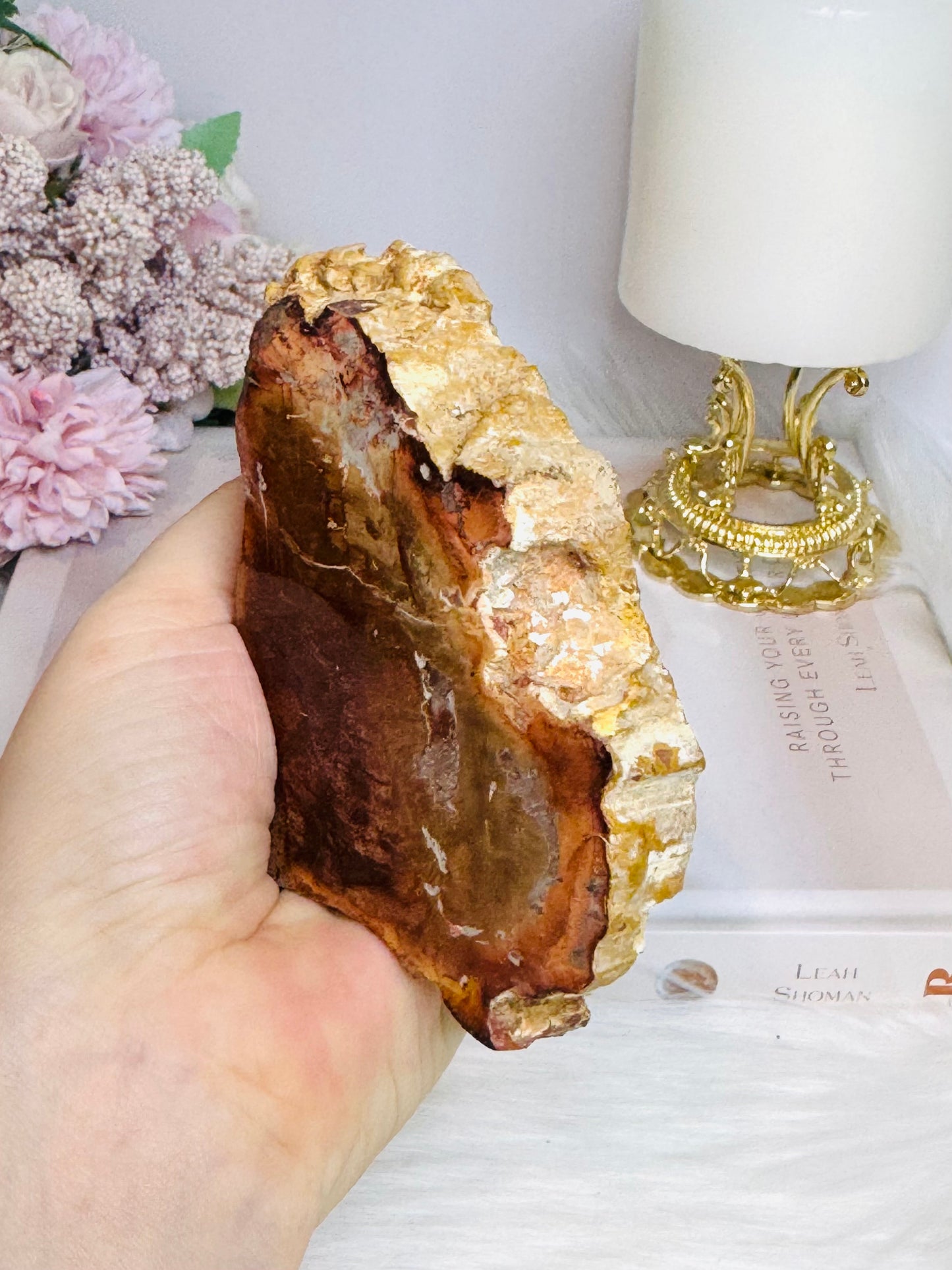 Natural Petrified Wood Slab 10cm 240g