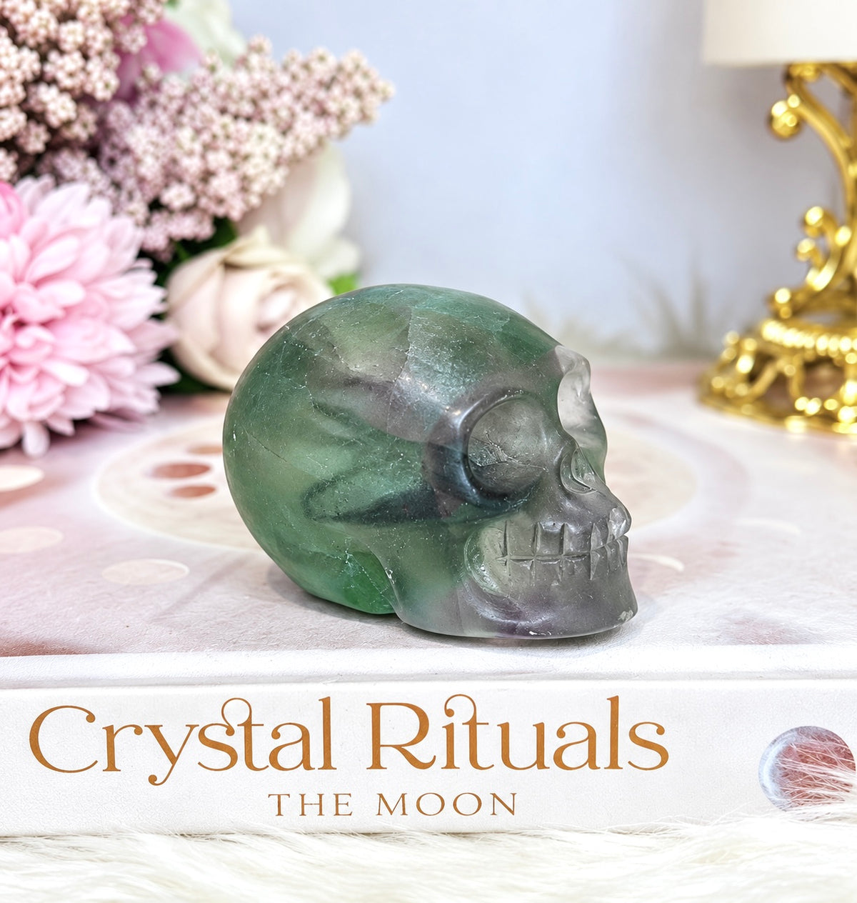 Purple & Green Fluorite Skull (photo taken under light)