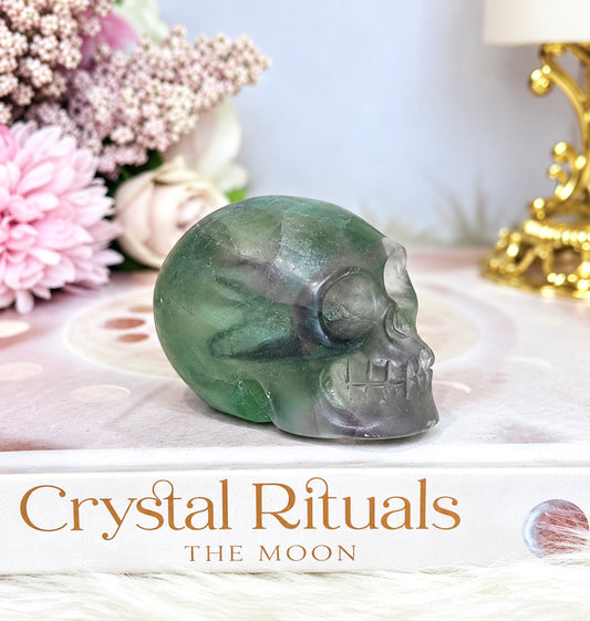 Purple & Green Fluorite Skull (photo taken under light)