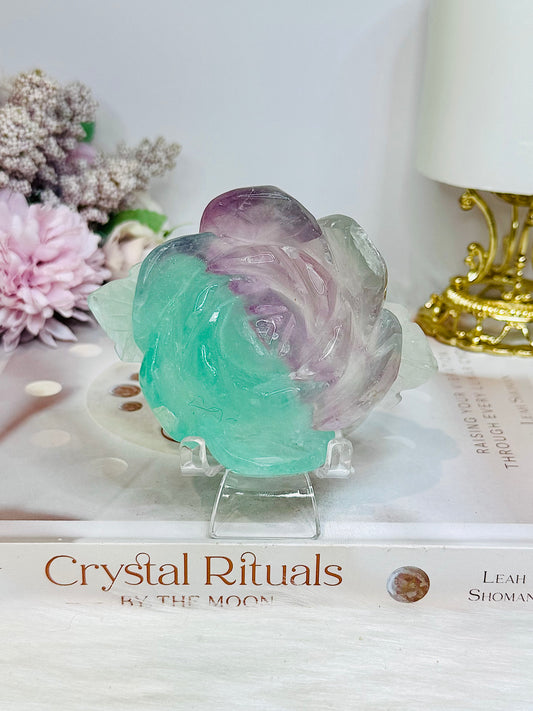 Large Watermelon Fluorite Carved Flower | Rose 10cm