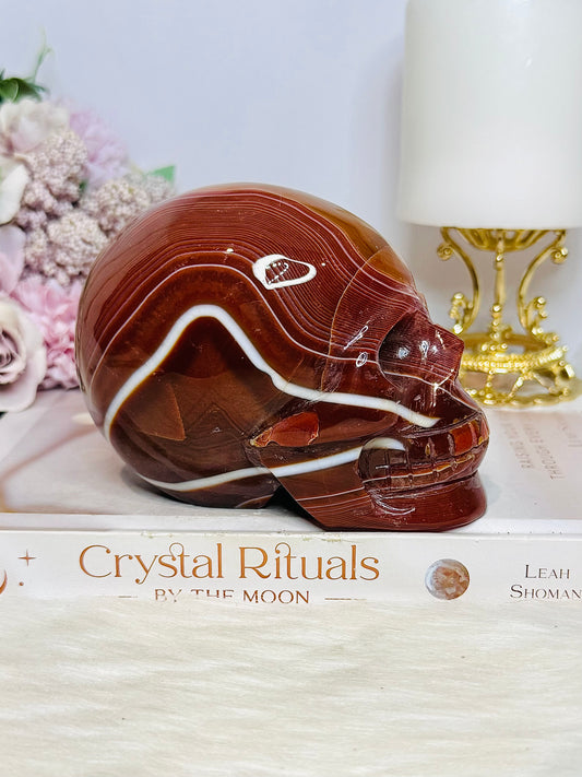 Large Carnelian Carved Skull 11.5cm 863g