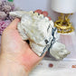 Large Volcanic Agate Turtle 16cm