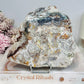 Large Mexican Lace Agate Slab on Stand 14cm 394g