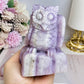 Large Kunzite Carved Owl 698g 11cm