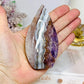 Crazy Lace Amethyst Flame 10cm