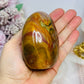 Petrified Wood Chunky Freeform 8cm 353g