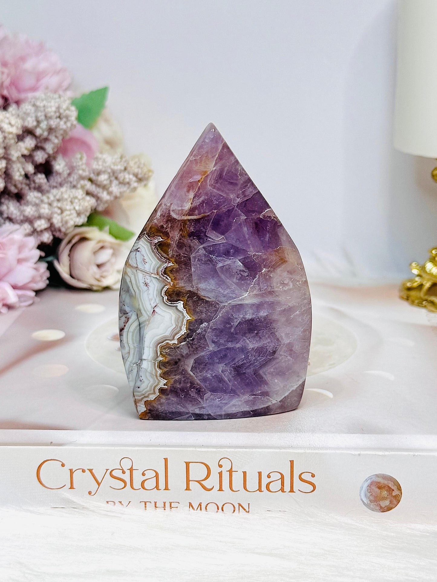 Crazy Lace Amethyst Flame 8.5cm