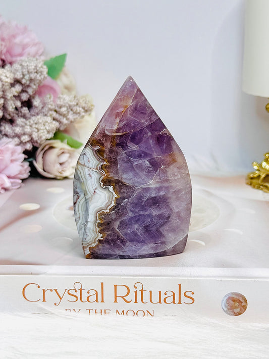 Crazy Lace Amethyst Flame 8.5cm