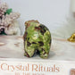 Money Agate Carved Bear 8cm