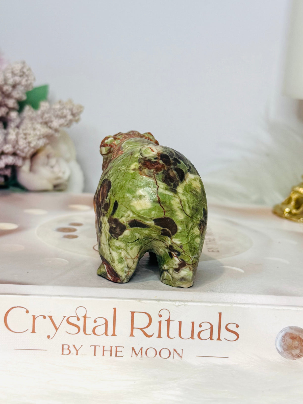 Money Agate Carved Bear 8cm