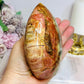 Large Petrified Wood Freeform 11.5cm 710g