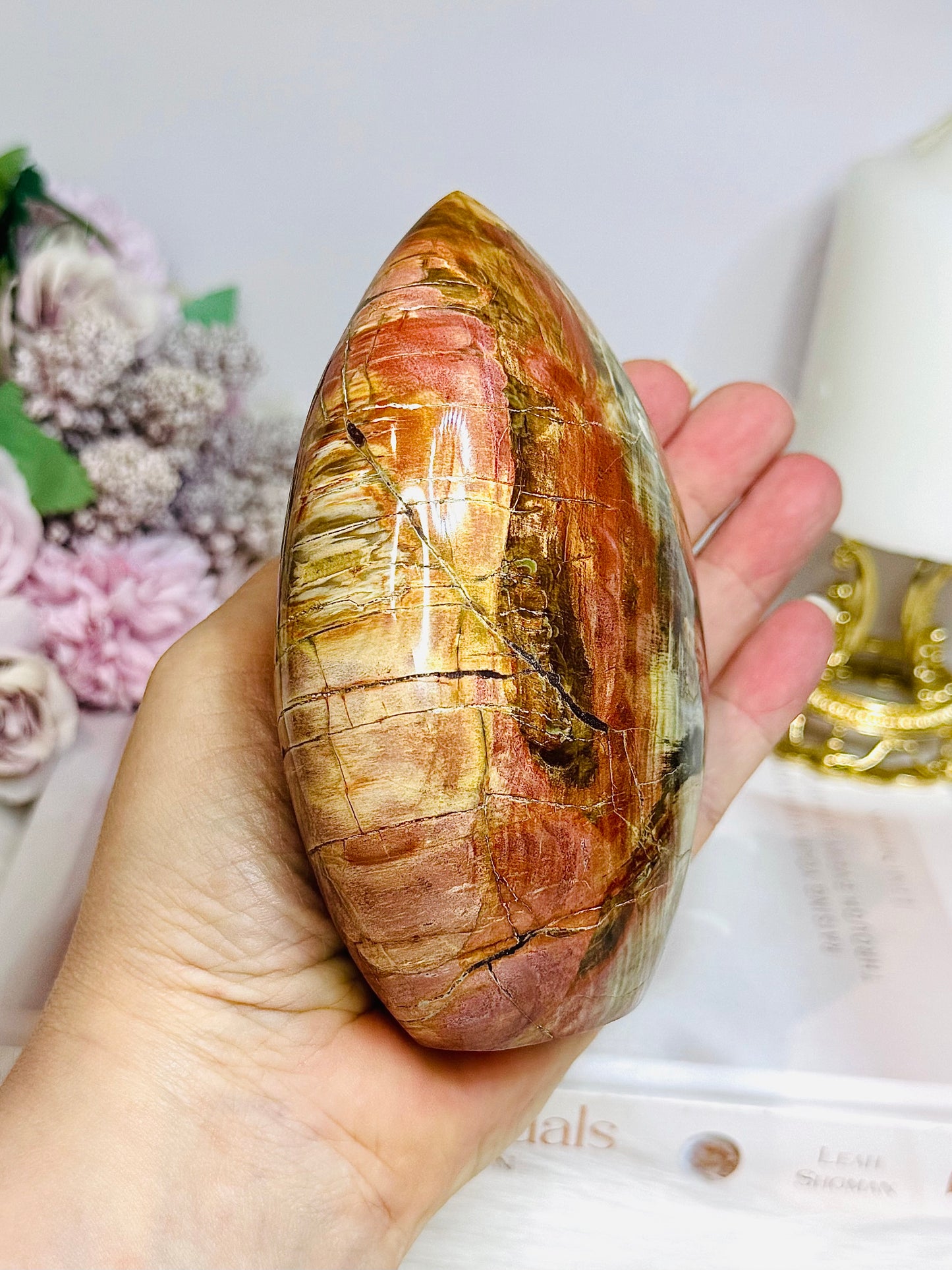 Large Petrified Wood Freeform 11.5cm 710g