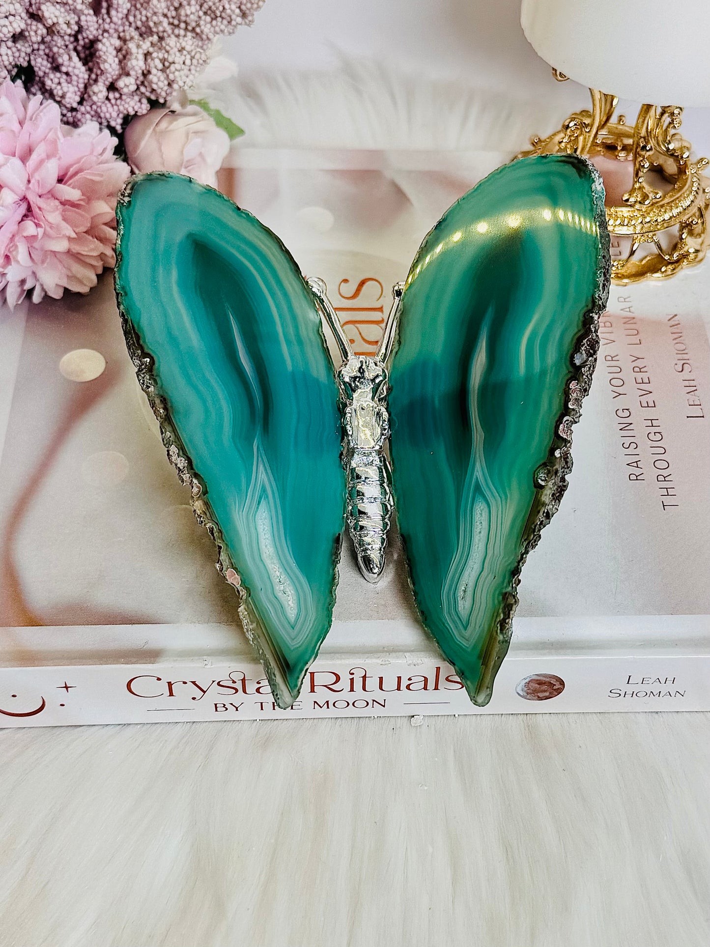 Amazing Large Green Agate Butterfly From Brazil 13cm