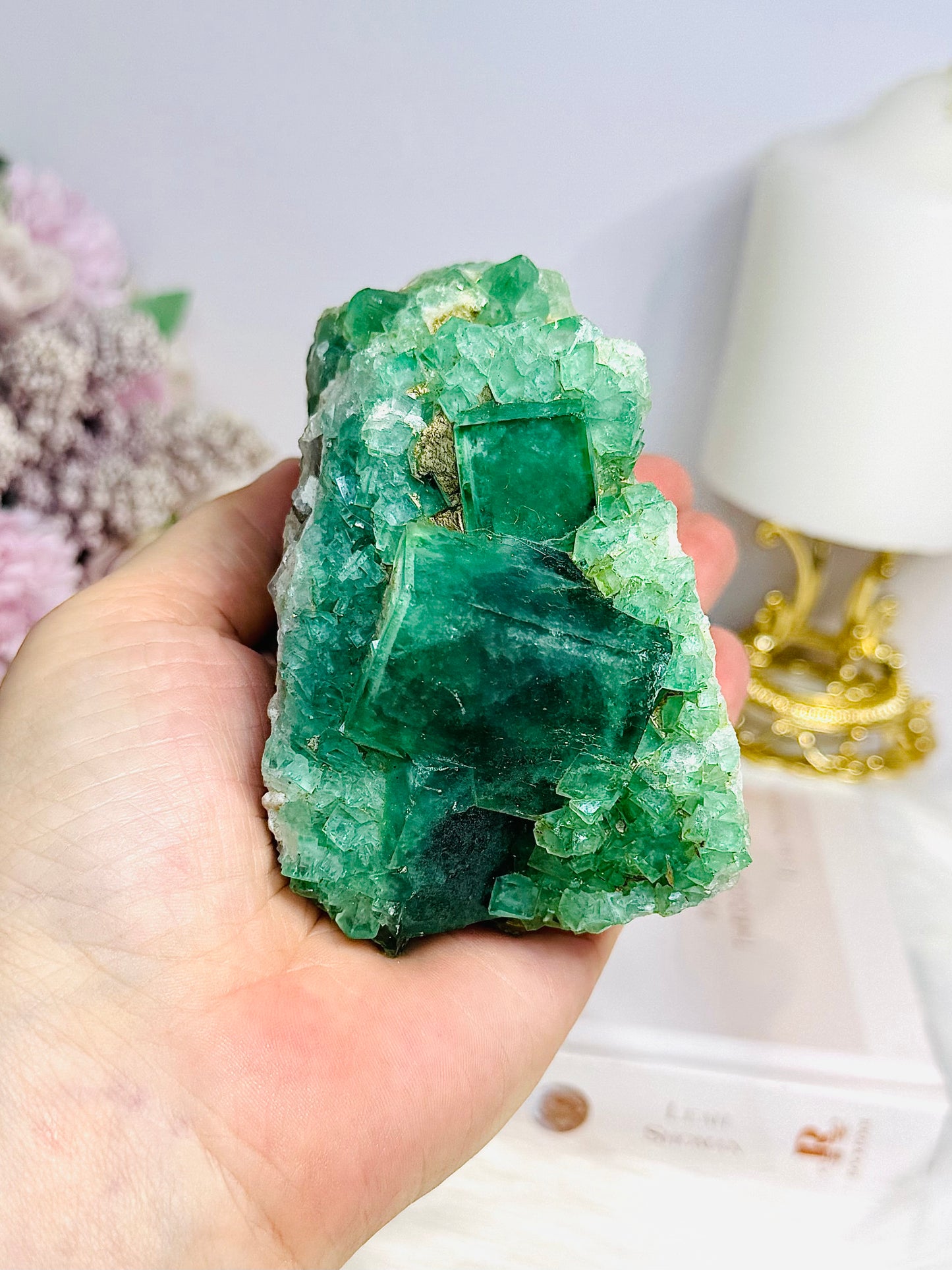 Natural Green Cubed Fluorite Specimen 505g