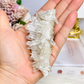 Natural Chrysanthemum Quartz Specimen 10cm