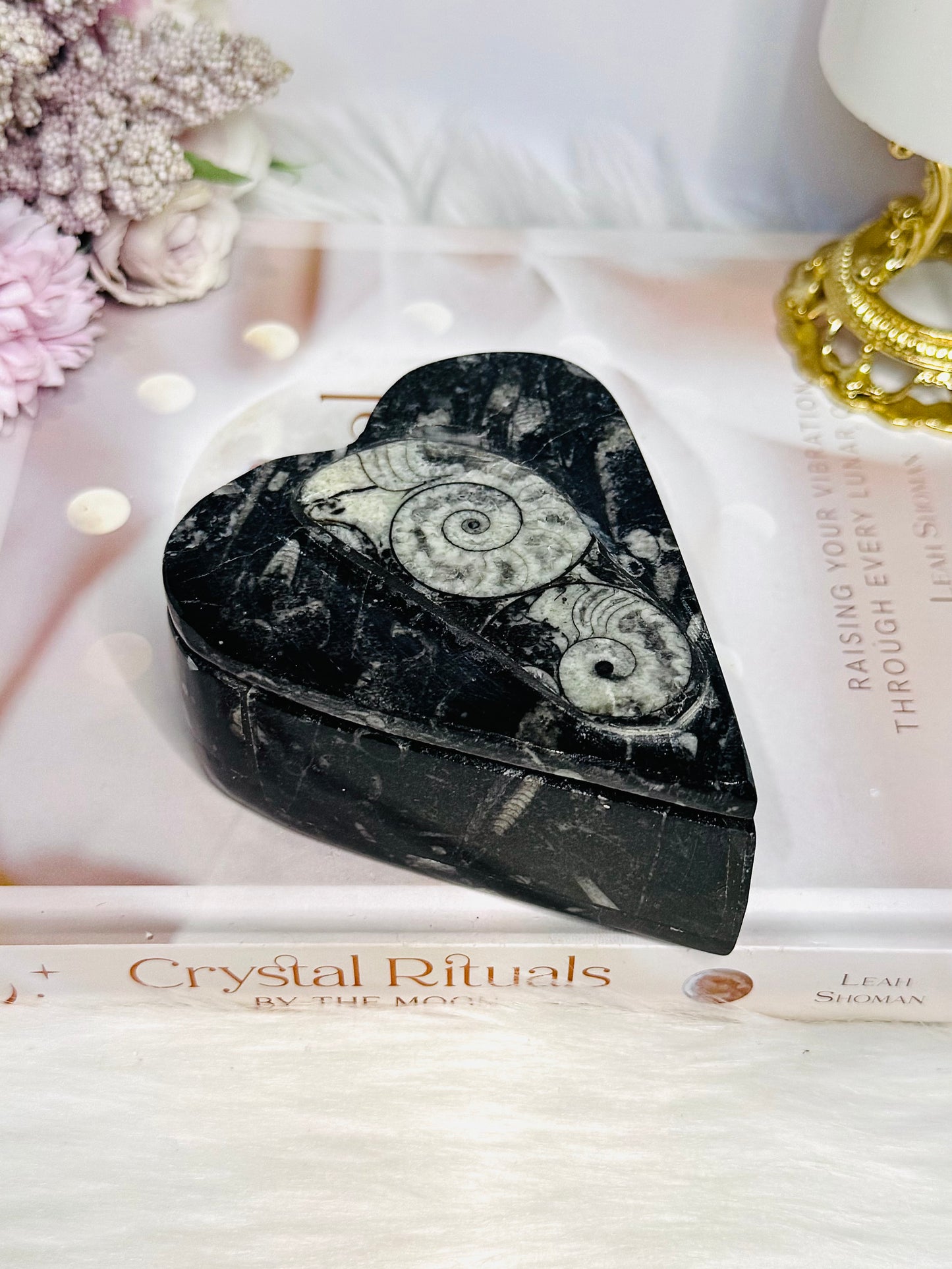 Ancient Fossil Orthoceras Heart Ammonite Jewellery Box 10cm 401g