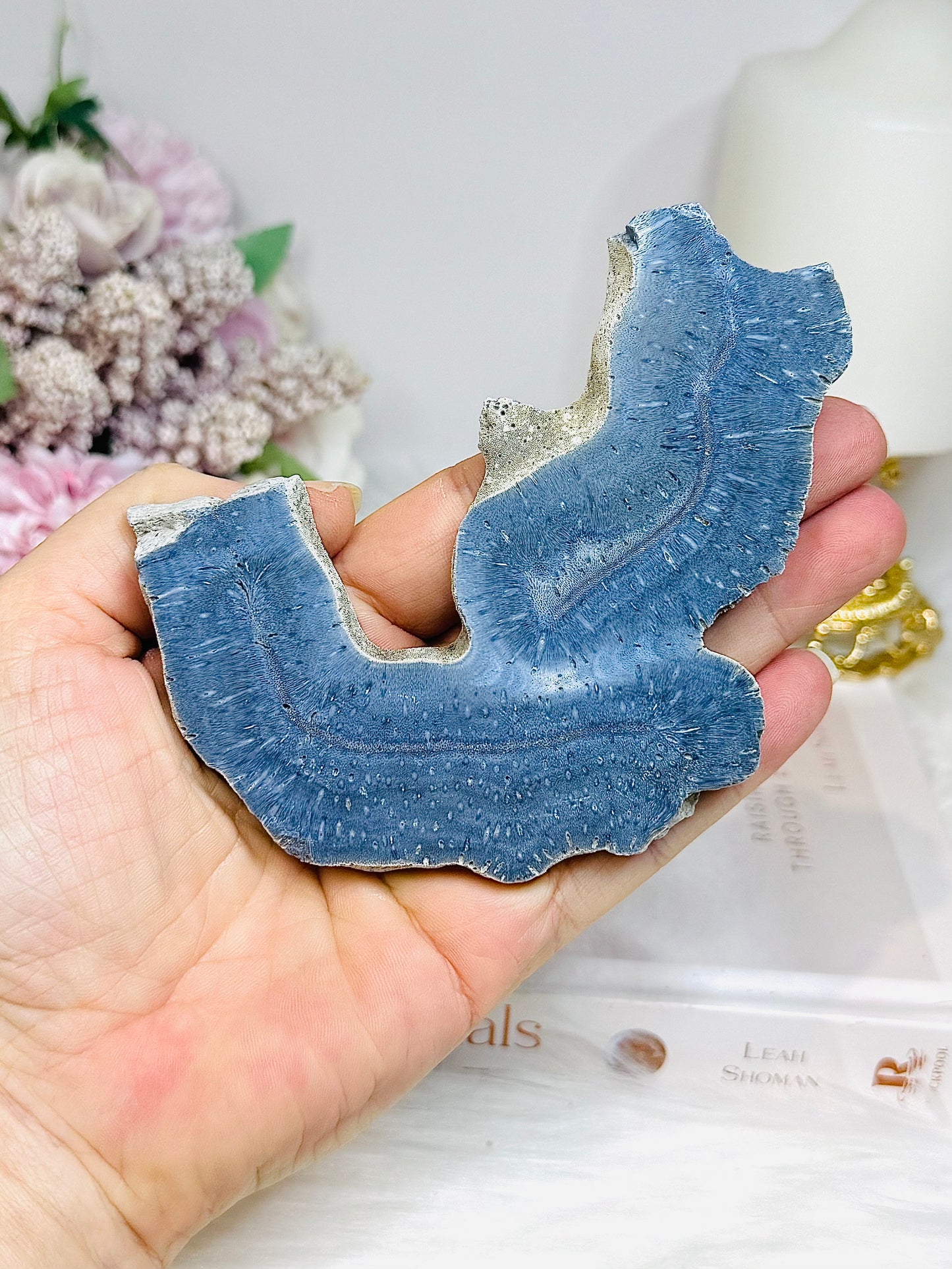 Blue Coral Fossil Specimen Slab on Stand 11.5cm