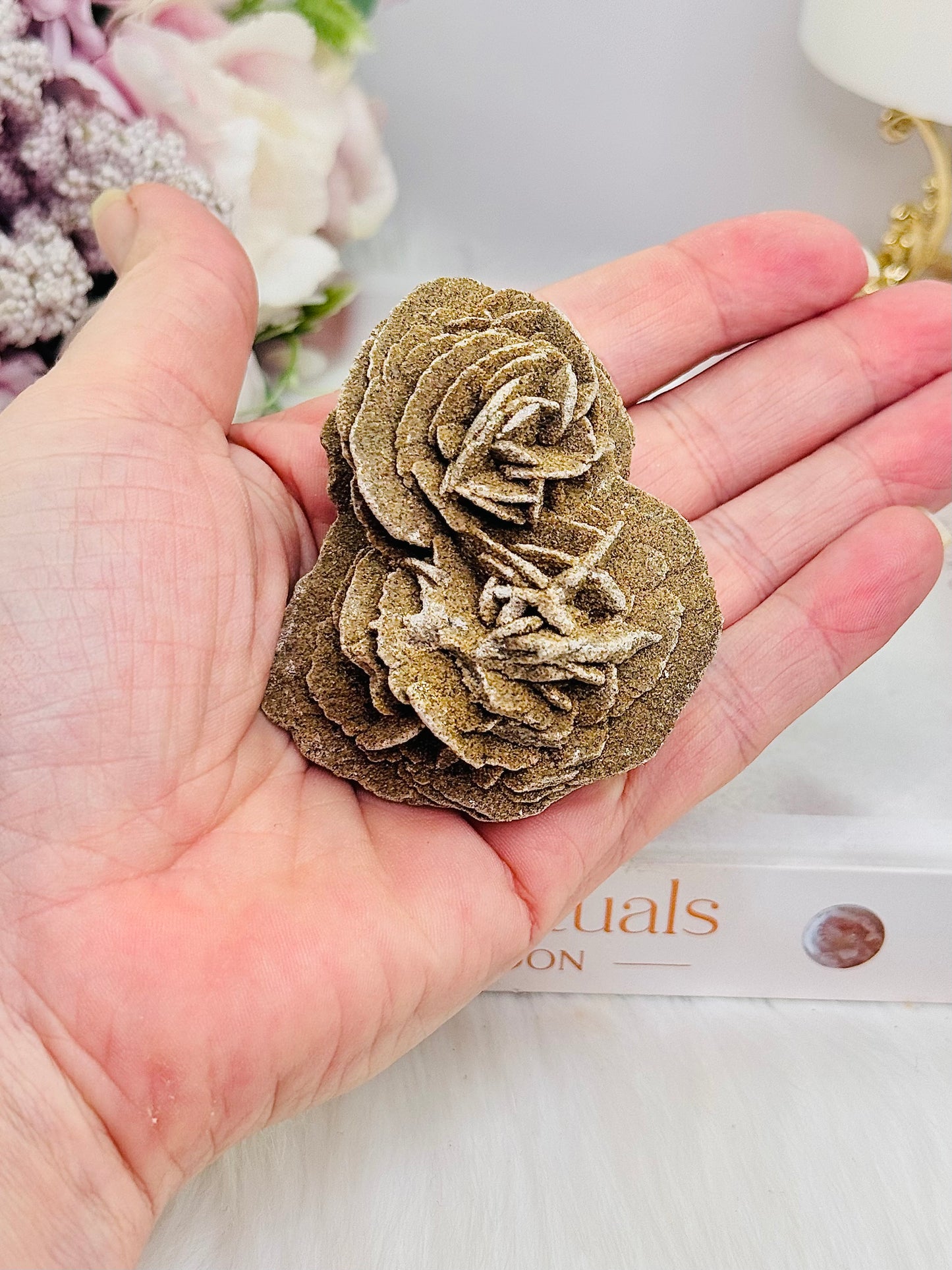 Natural Raw Desert / Gypsum Rose Specimen