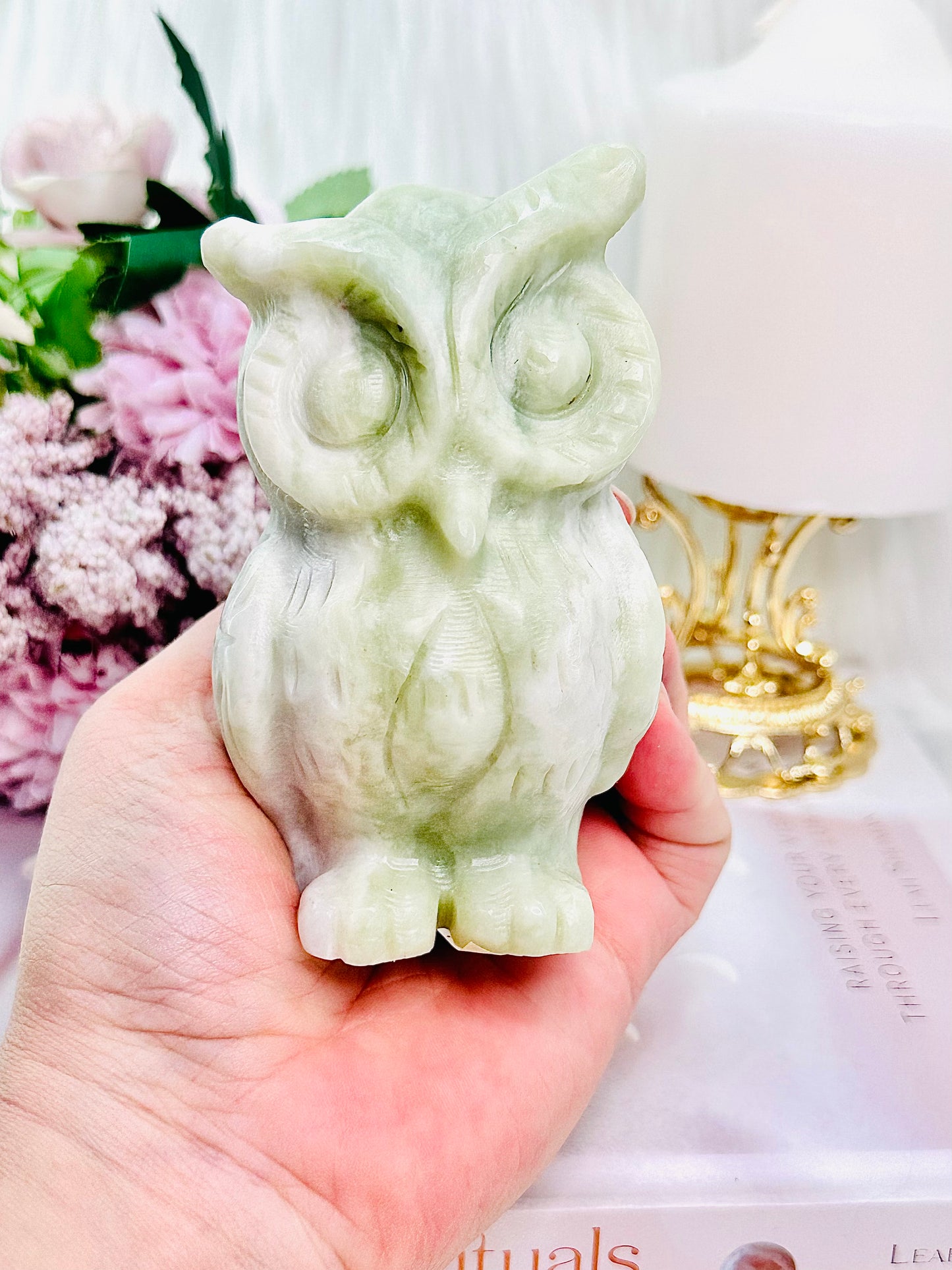 Well-being & Longevity ~ Perfectly Carved Large 415gram Green Jade Owl
