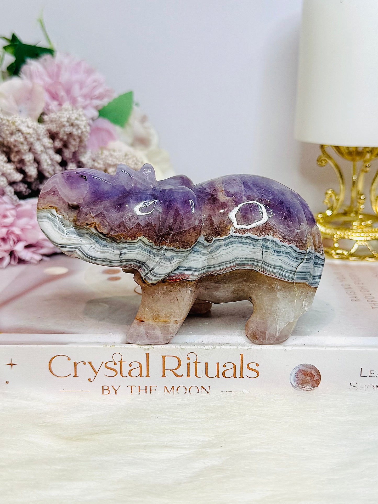 Amethyst X Mexican Lace Agate Elephant 11cm 367g